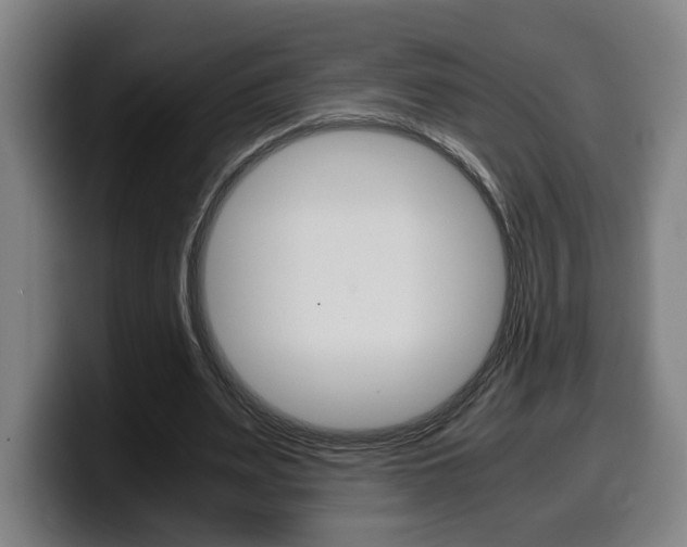 X0000099490487200805150931