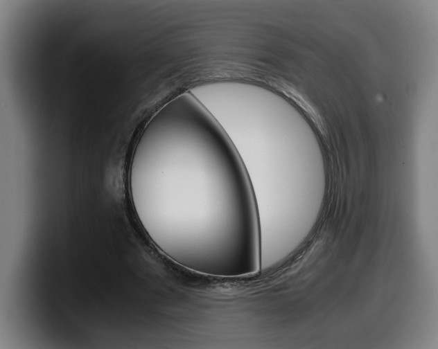 X0000099490489200805150931