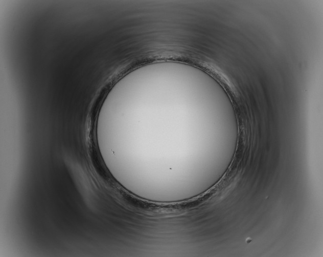 X0000099490490200805150931