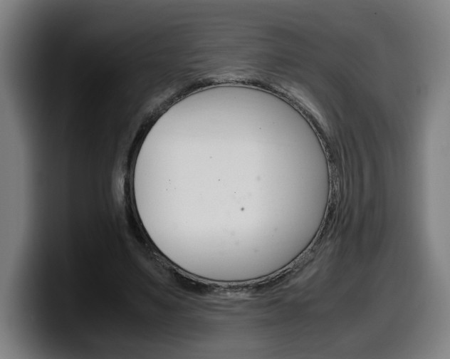 X0000099490491200805150931