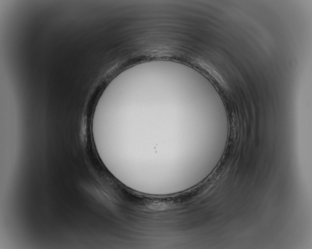 X0000099490494200805150931