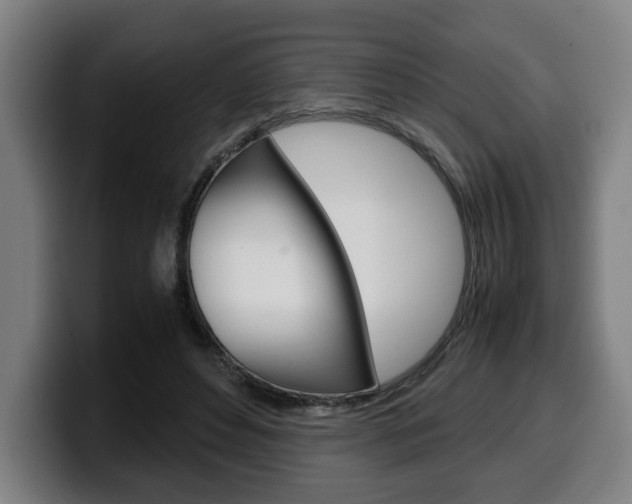 X0000099490496200805150931