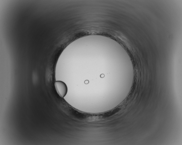 X0000099490499200805150931