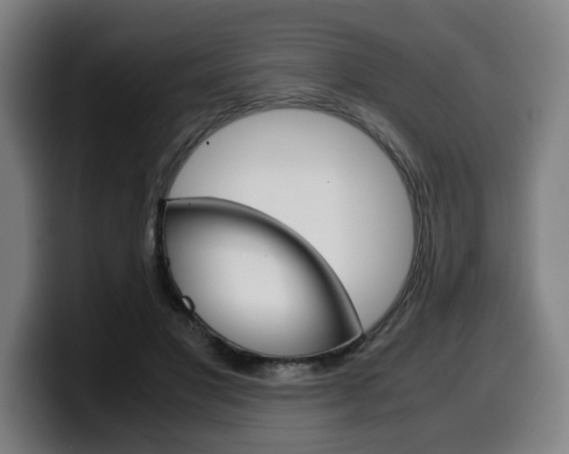 X0000099490501200805150931