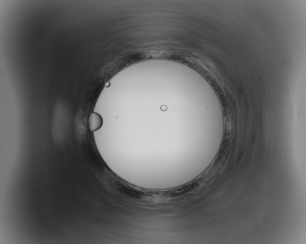 X0000099490503200805150931