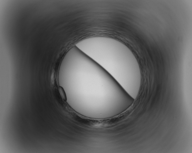 X0000099490504200805150931