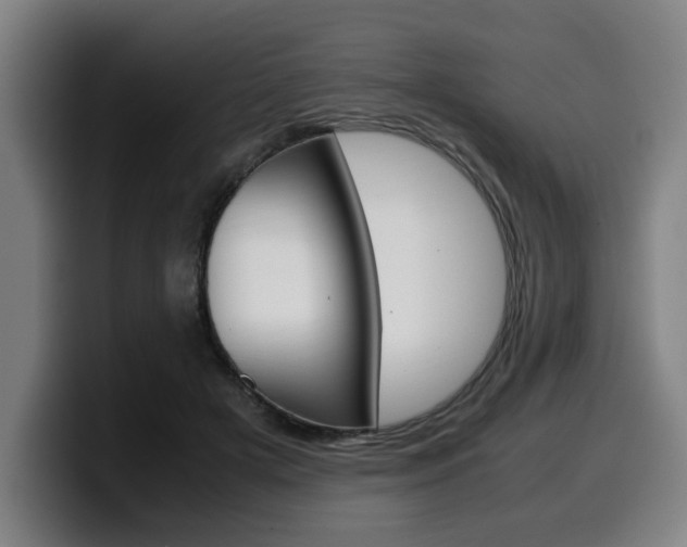 X0000099490505200805150931