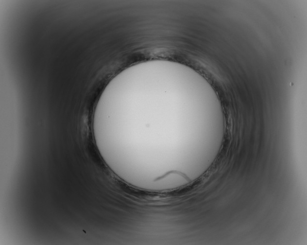 X0000099490506200805150931