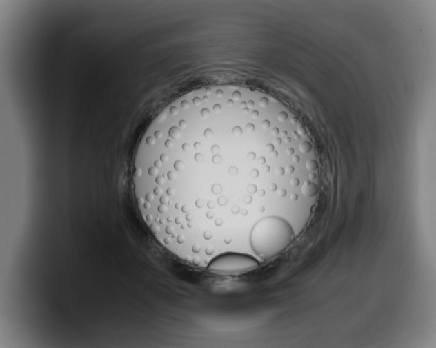X0000099490507200805150931