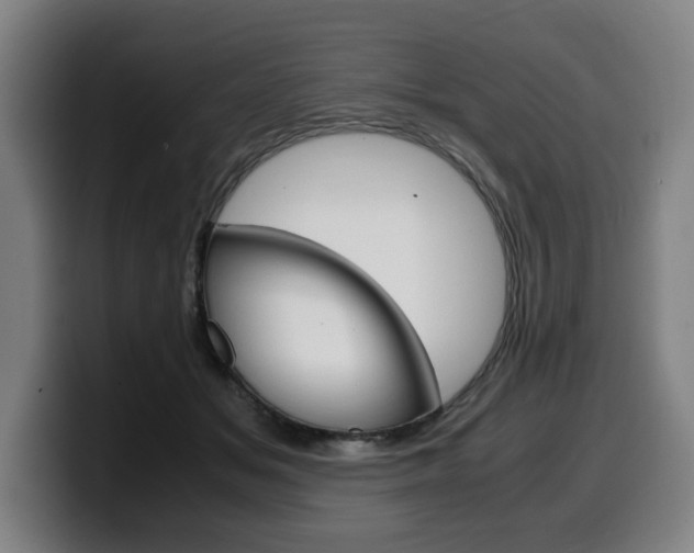 X0000099490509200805150931
