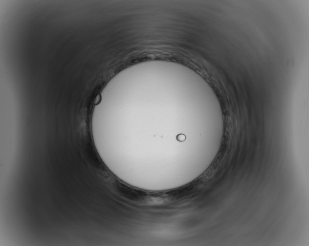 X0000099490510200805150931