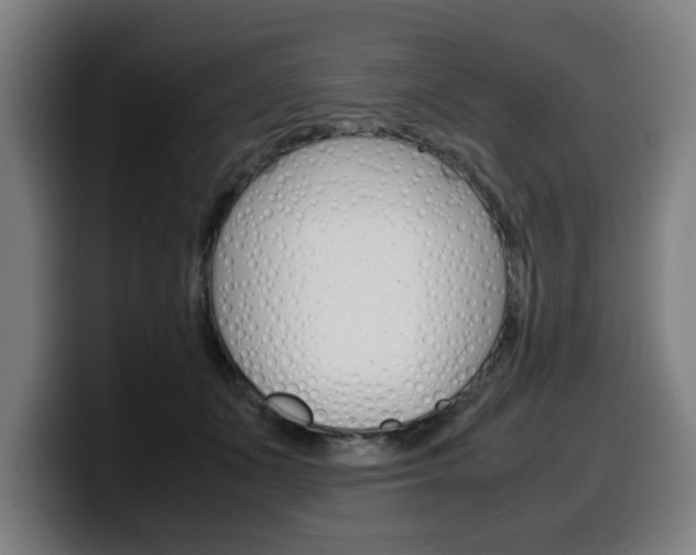 X0000099490511200805150931