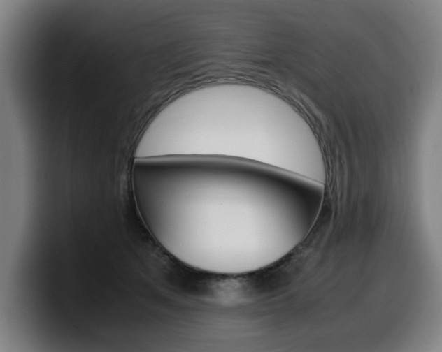 X0000099490513200805150931