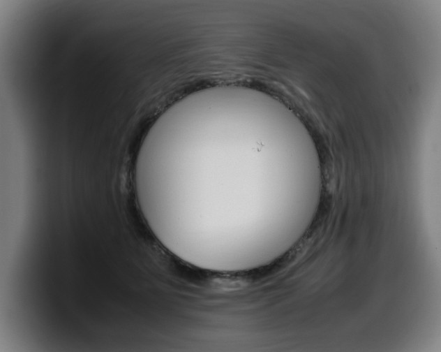X0000099490515200805150931