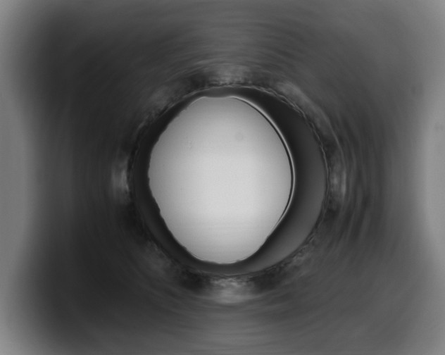 X0000099490516200805150931