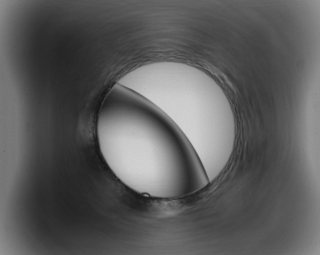 X0000099490517200805150930
