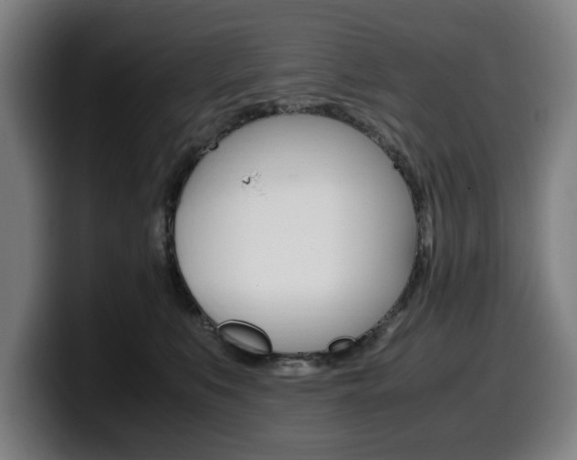 X0000099490519200805150930