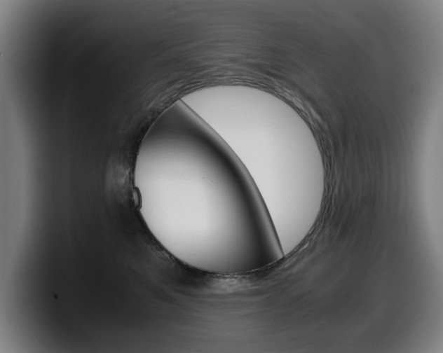 X0000099490521200805150930