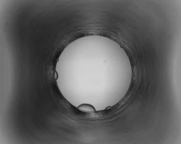 X0000099490522200805150930