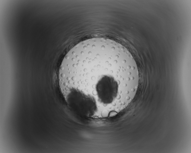 X0000099490523200805150930