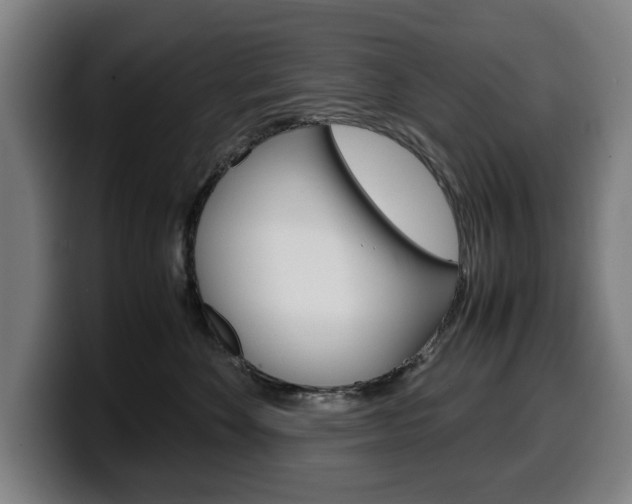 X0000099490524200805150930