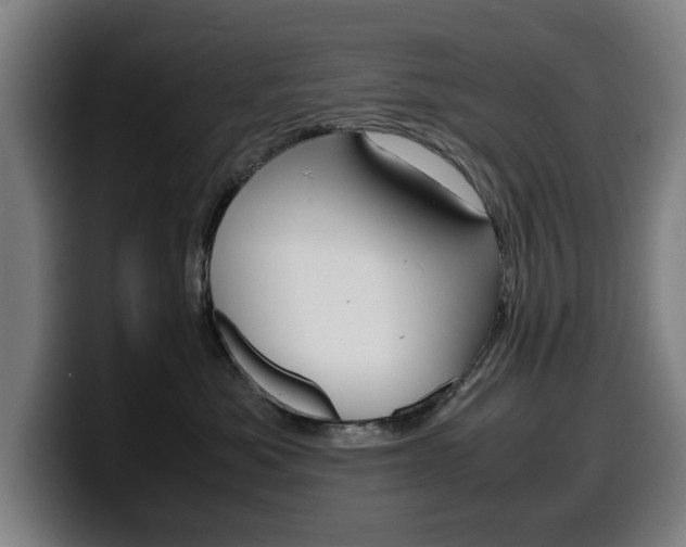 X0000099490525200805150930