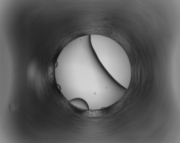 X0000099490526200805150930