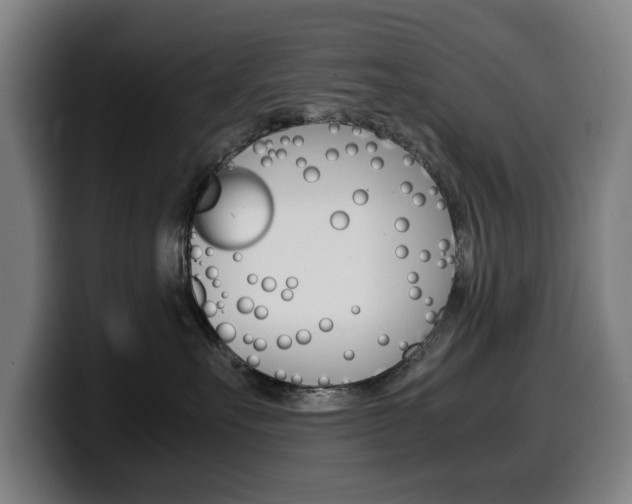 X0000099490527200805150930