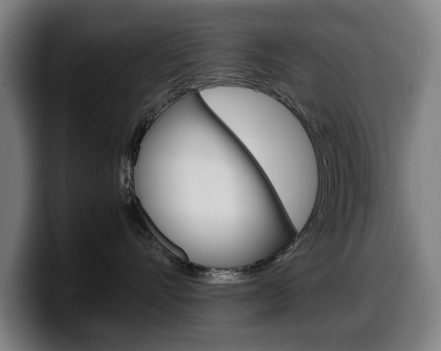 X0000099490528200805150930