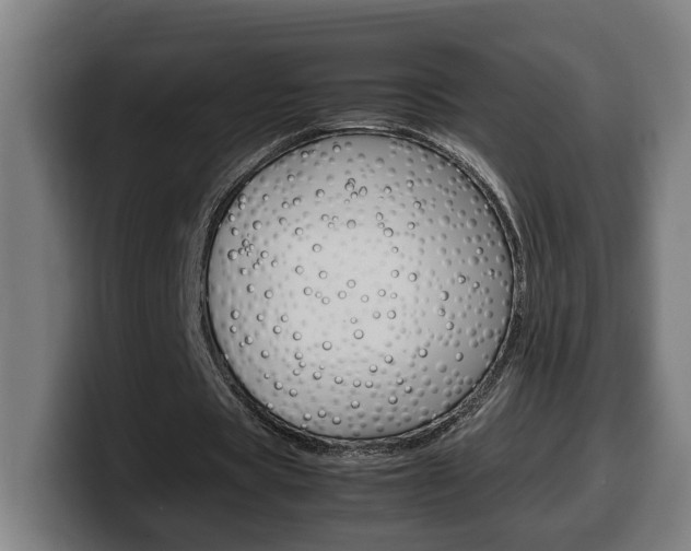 X0000099490529200805150930