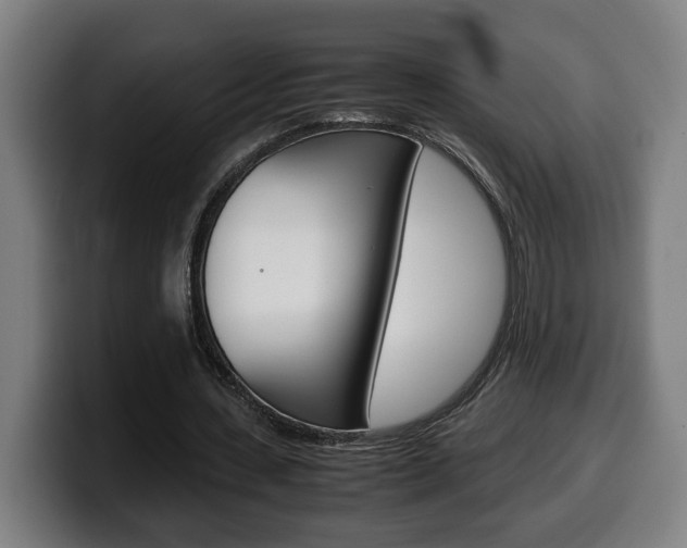 X0000099490531200805150930