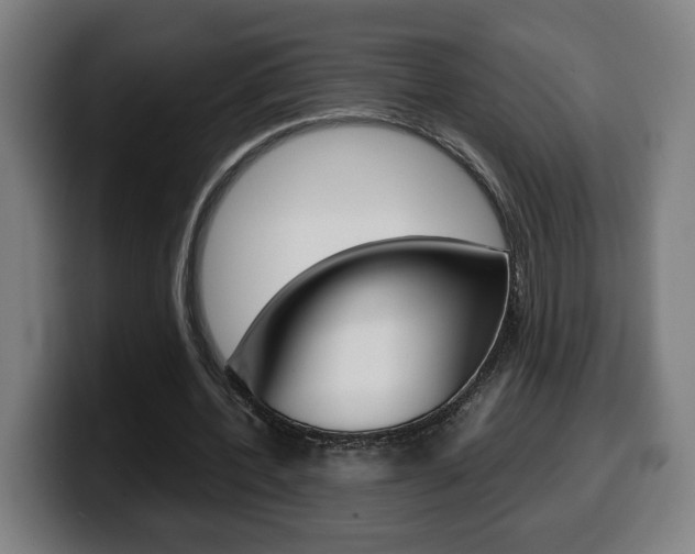 X0000099490532200805150930