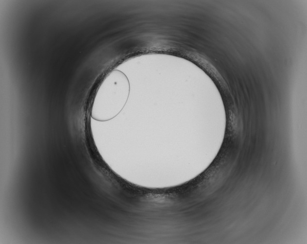 X0000099490534200805150930