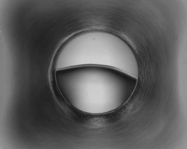 X0000099490536200805150930