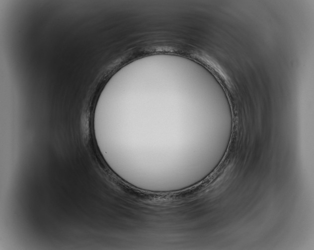 X0000099490537200805150930