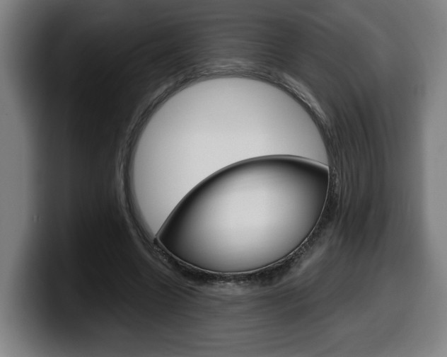 X0000099490538200805150930
