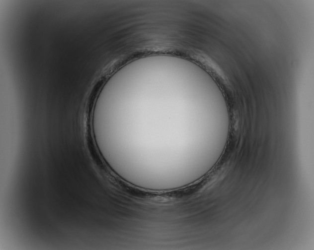 X0000099490542200805150930