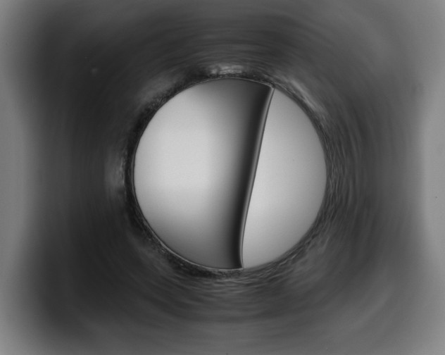 X0000099490543200805150930