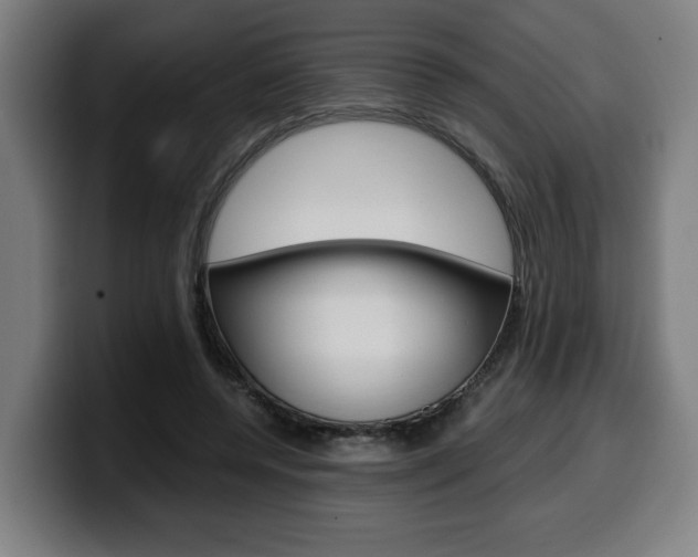 X0000099490544200805150930