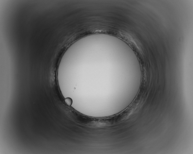 X0000099490545200805150930