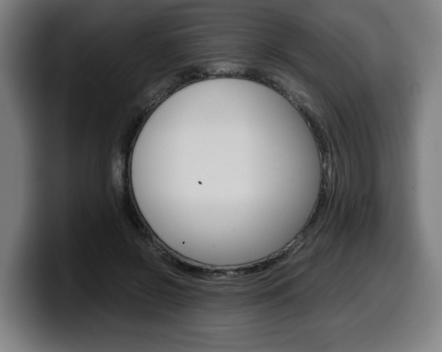 X0000099490550200805150930