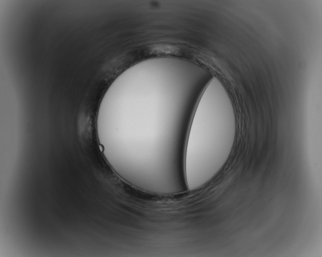 X0000099490551200805150930