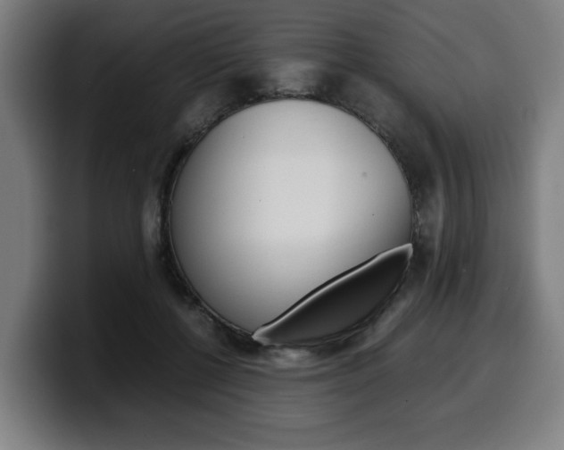 X0000099490552200805150930