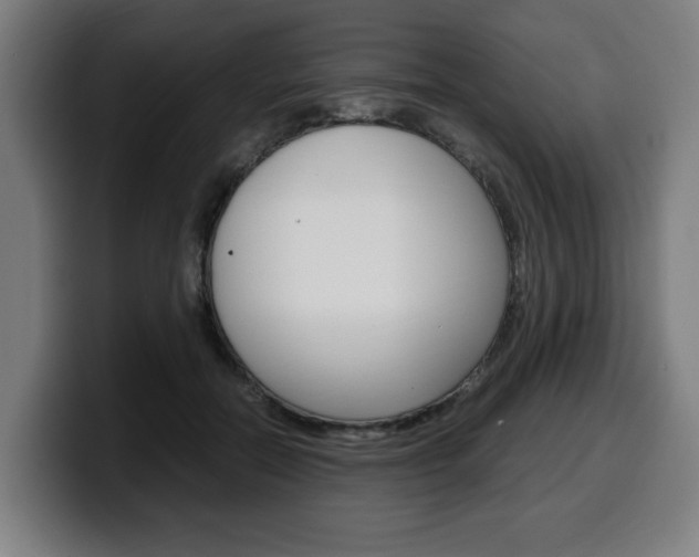 X0000099490554200805150930