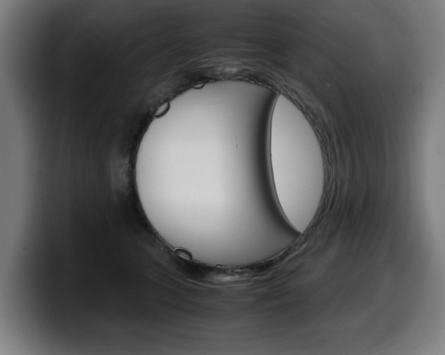 X0000099490563200805150930