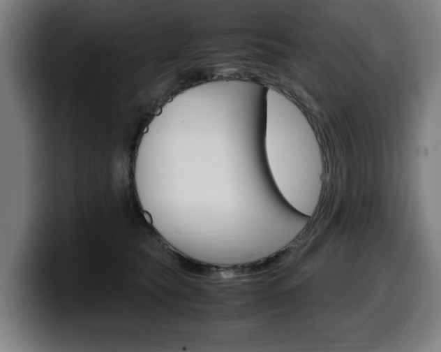 X0000099490565200805150930