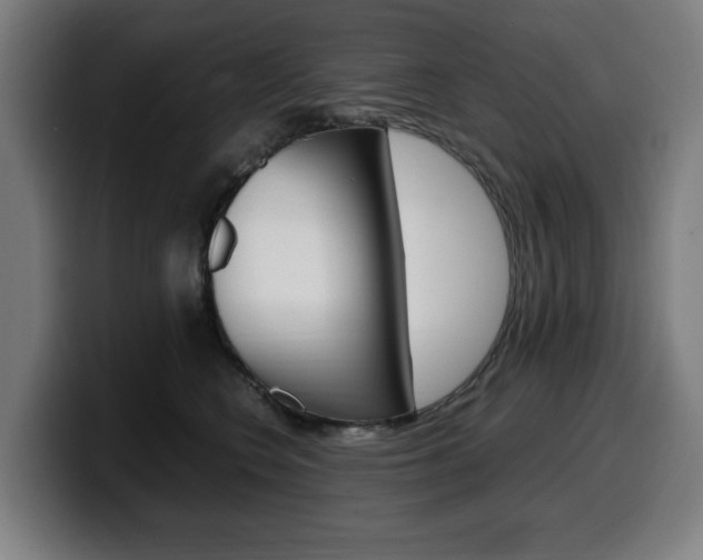 X0000099490566200805150930