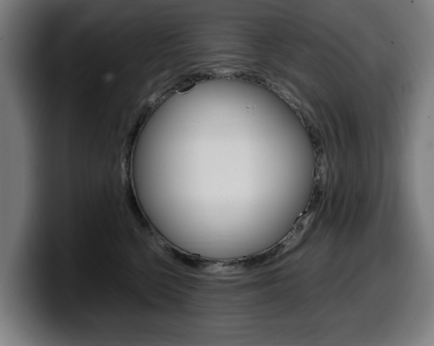 X0000099490568200805150930