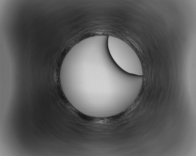 X0000099490569200805150930