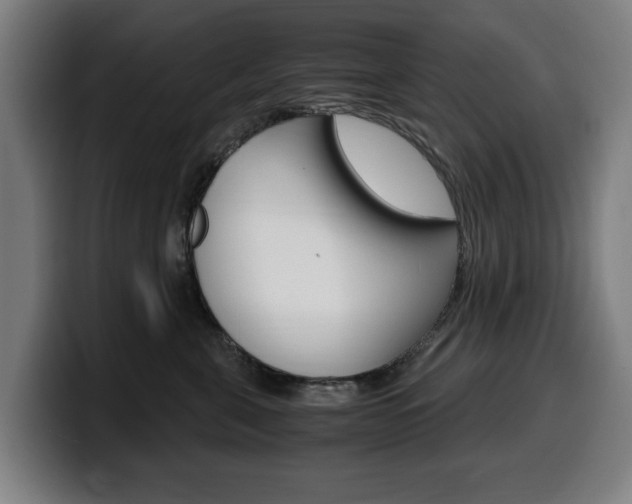X0000099490571200805150930